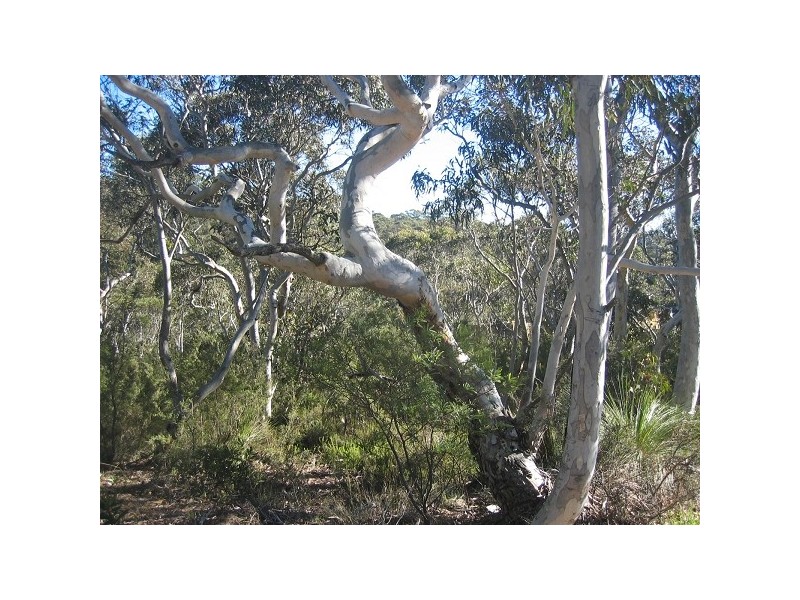 12 First Ave, Katoomba NSW 2780