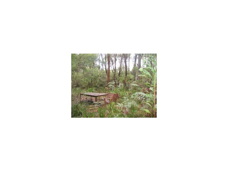 119 STUARTS ROAD, Katoomba NSW 2780