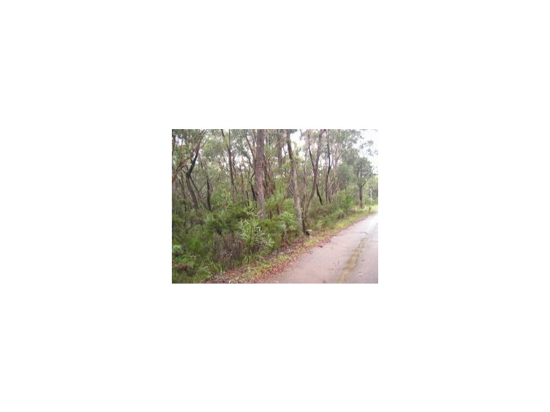 119 STUARTS ROAD, Katoomba NSW 2780