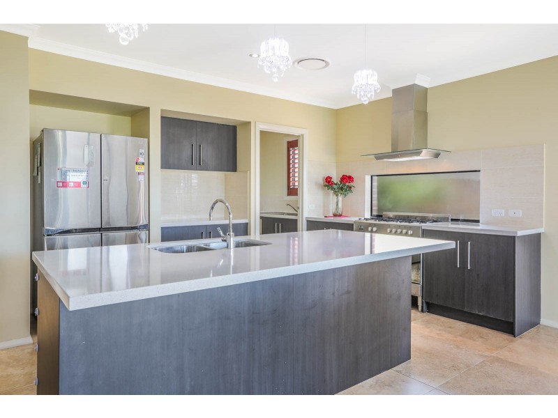 16 Capertee Street, The Ponds NSW 2769