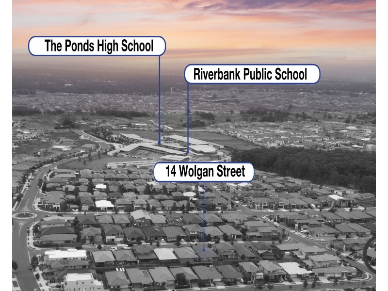 14 Wolgan Street, The Ponds NSW 2769