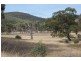 LOT 8 LAURA CREEK ESTATE, BALDERSLEIGH ROAD, GUYRA, Armidale NSW 2350
