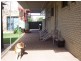 Inverell NSW 2360