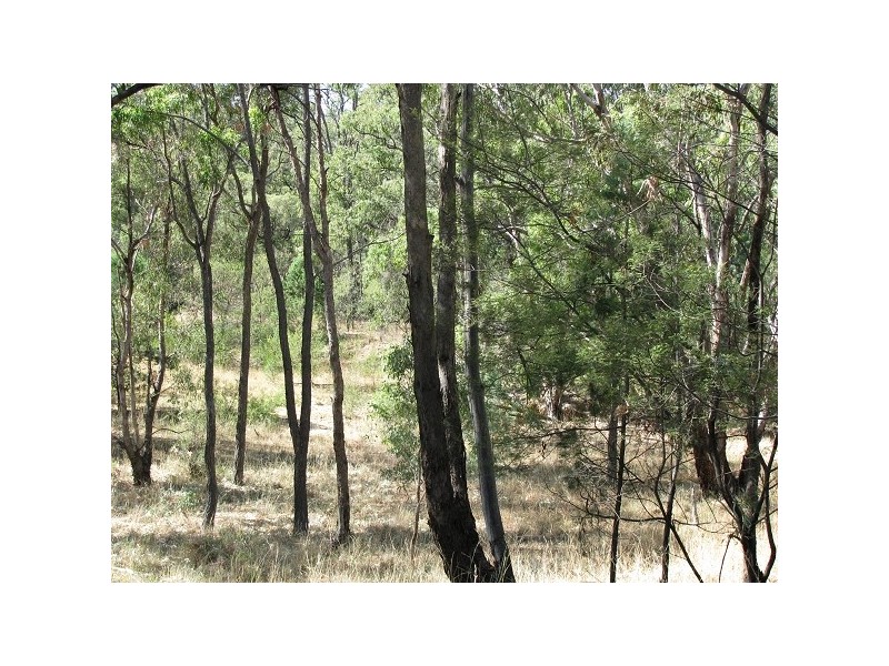 Warialda NSW 2402