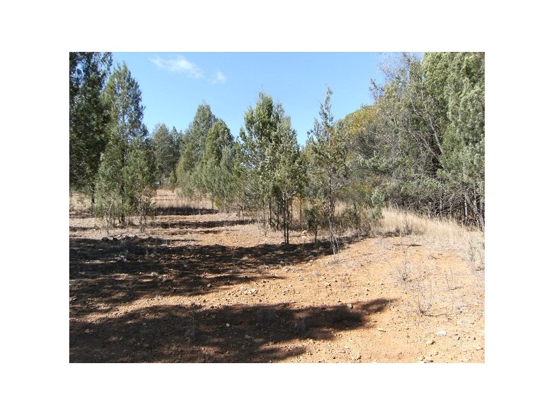 Bingara NSW 2404