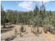 Bingara NSW 2404