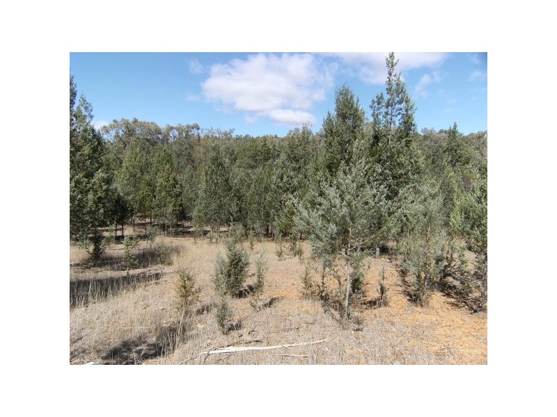 Bingara NSW 2404