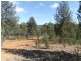 Bingara NSW 2404