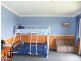 Stannifer NSW 2369