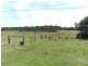 Stannifer NSW 2369