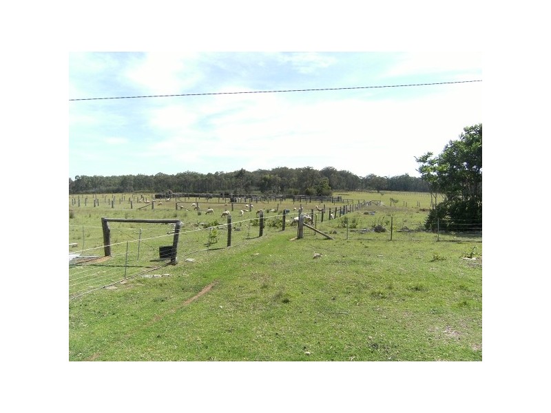 Stannifer NSW 2369