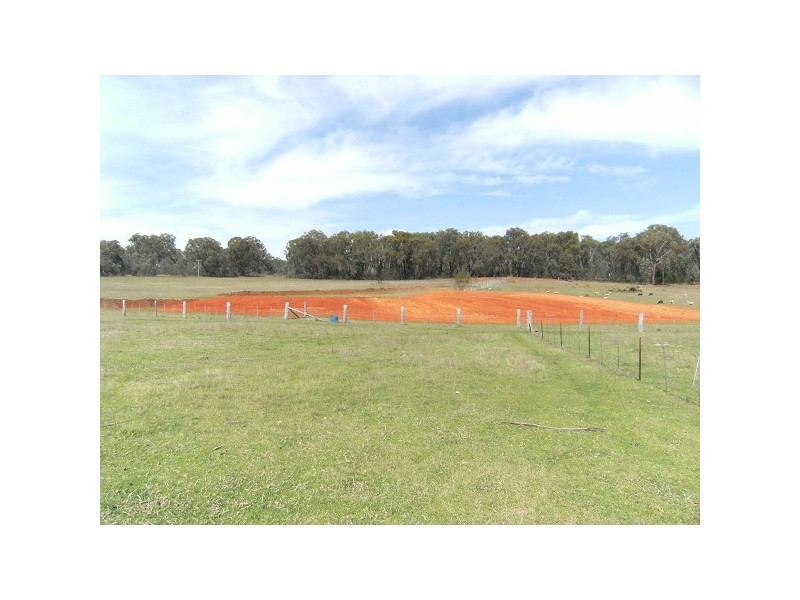 Stannifer NSW 2369