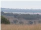 LOT 2 TULLACHARD LANE, Inverell NSW 2360