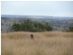 LOT 2 TULLACHARD LANE, Inverell NSW 2360