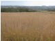 LOT 2 TULLACHARD LANE, Inverell NSW 2360
