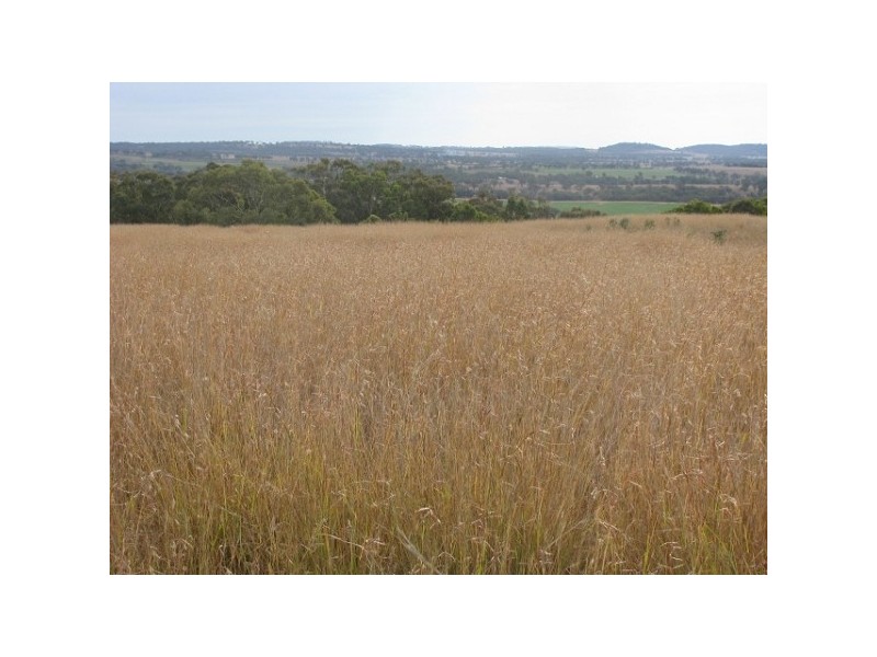 LOT 2 TULLACHARD LANE, Inverell NSW 2360