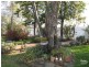 Warialda NSW 2402