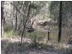 Warialda NSW 2402