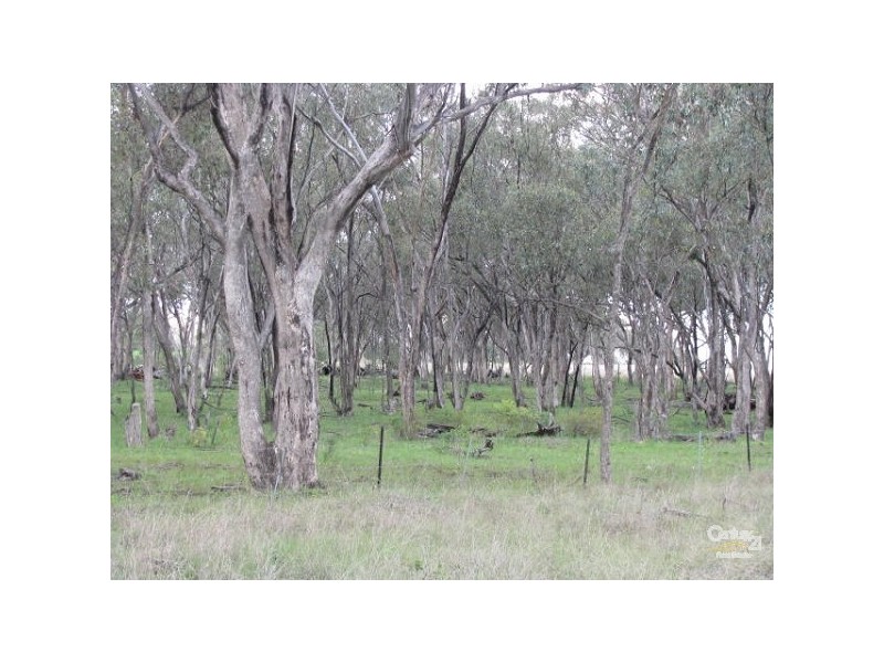 Mount Russell NSW 2360