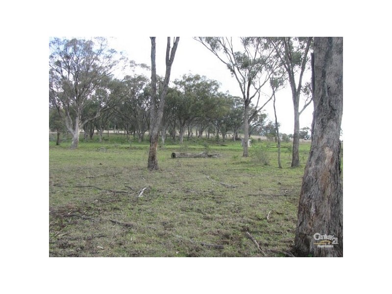 Mount Russell NSW 2360