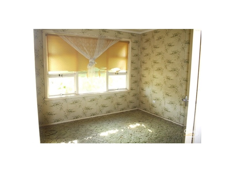 19 Vernon Avenue, Gorokan NSW 2263