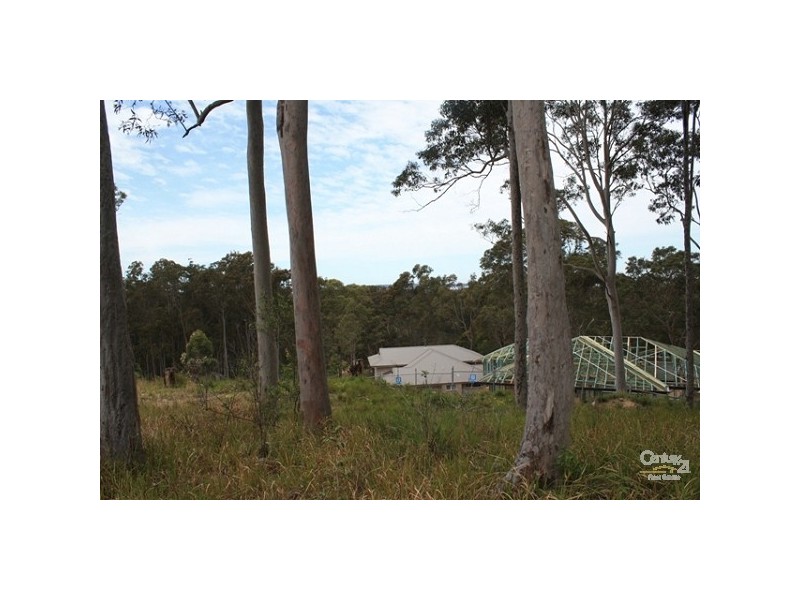 13 Melbourne Road, Wadalba NSW 2259