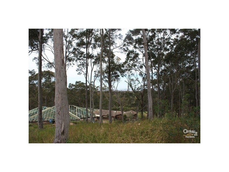 13 Melbourne Road, Wadalba NSW 2259