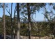 13 Melbourne Road, Wadalba NSW 2259