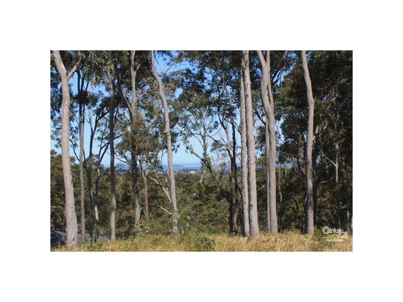 13 Melbourne Road, Wadalba NSW 2259