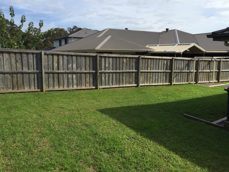 31 Settlers Boulevard, Chisholm NSW 2322