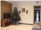9 Marlowe St, Campsie NSW 2194