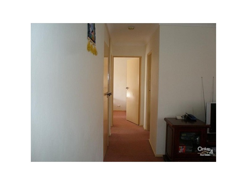 3/131A Campsie, Campsie NSW 2194