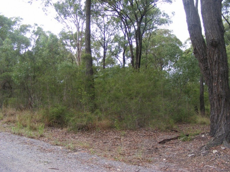 4 Central Ave, Bundabah NSW 2324