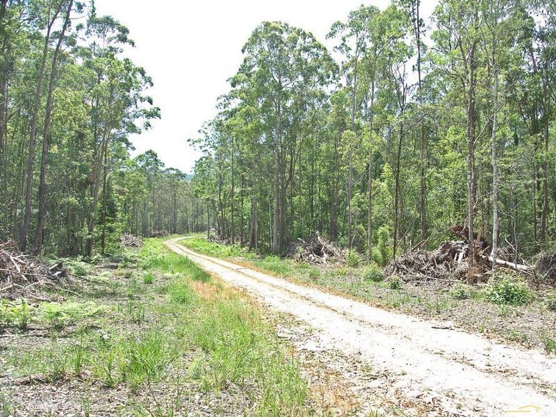 339 Markwell Back Rd, Bulahdelah NSW 2423