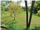 49 Cowper St, Stroud NSW 2425