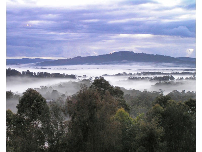 52 Old School House Rd, Crawford River NSW 2423