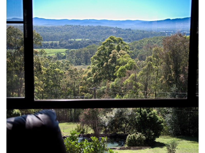 52 Old School House Rd, Crawford River NSW 2423