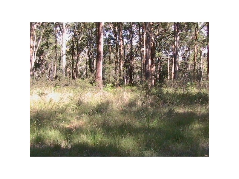 Lot 2783 Gunnedah St, North Arm Cove NSW 2324
