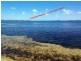 Pindimar NSW 2324