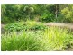 4 Boondelbah Rd, Tea Gardens NSW 2324