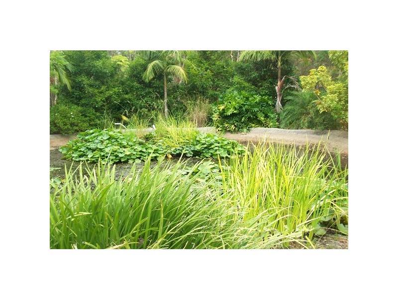 4 Boondelbah Rd, Tea Gardens NSW 2324