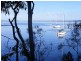 46 Point Circuit, North Arm Cove NSW 2324