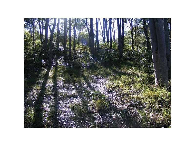 46 Point Circuit, North Arm Cove NSW 2324