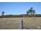 The Branch NSW 2425