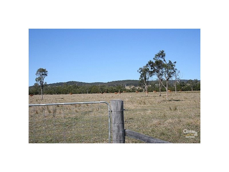 The Branch NSW 2425