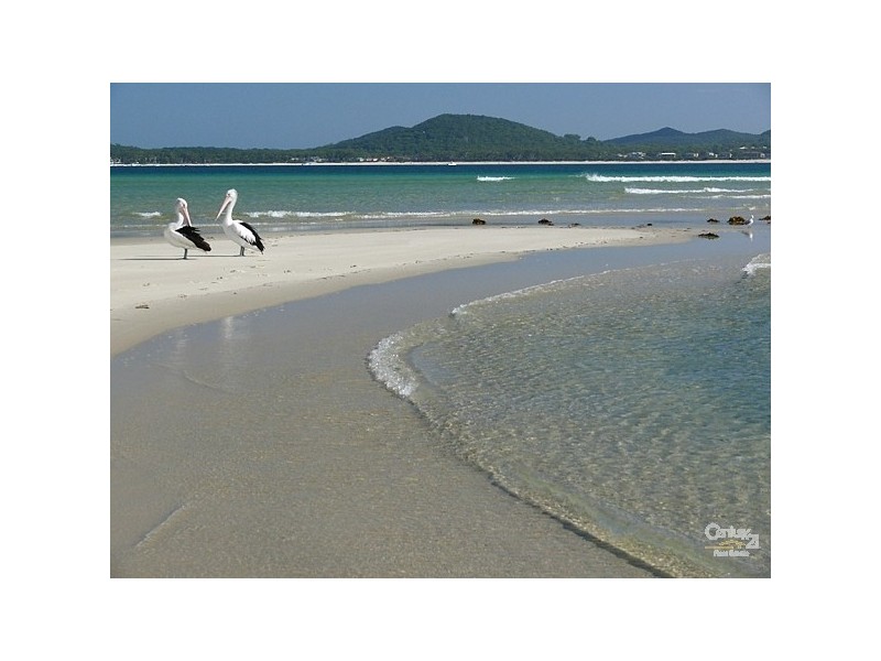 88 The Anchorage, Hawks Nest NSW 2324