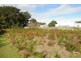86 Myall St, Tea Gardens NSW 2324
