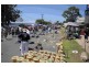 81 Myall St, Tea Gardens NSW 2324