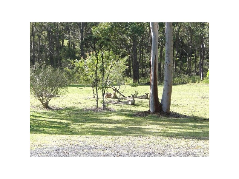 Tea Gardens NSW 2324