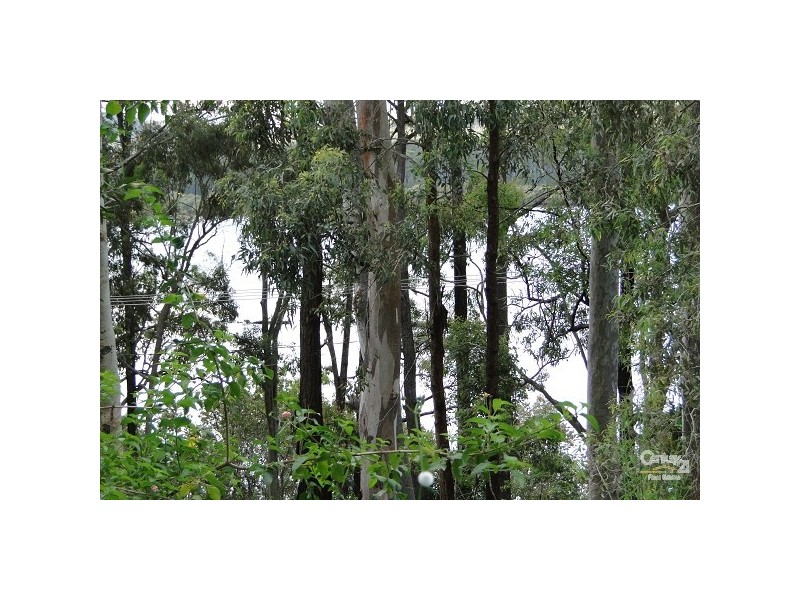 20 Roundhill Crescent, Karuah NSW 2324